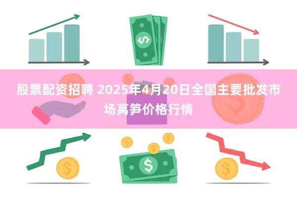 股票配资招聘 2025年4月20日全国主要批发市场莴笋价格行情