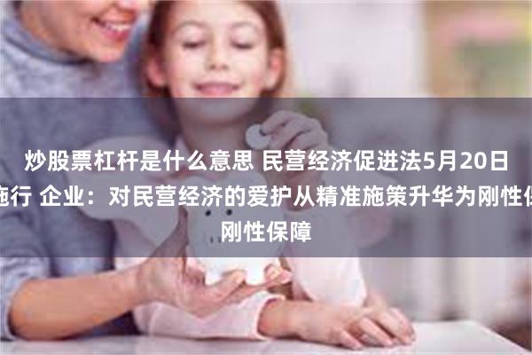 炒股票杠杆是什么意思 民营经济促进法5月20日起施行 企业：对民营经济的爱护从精准施策升华为刚性保障