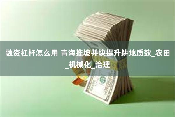 融资杠杆怎么用 青海推坡并块提升耕地质效_农田_机械化_治理