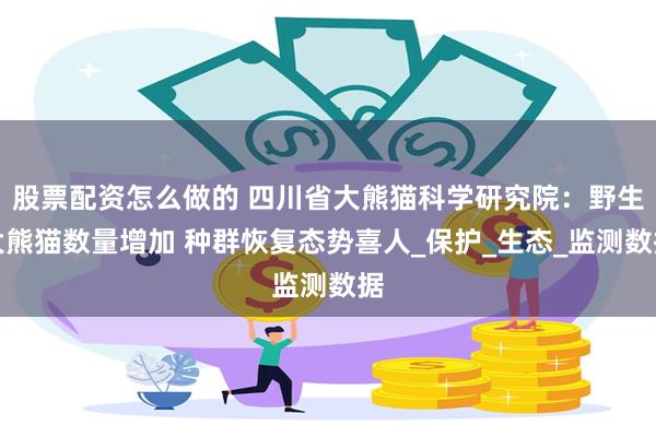 股票配资怎么做的 四川省大熊猫科学研究院：野生大熊猫数量增加 种群恢复态势喜人_保护_生态_监测数据