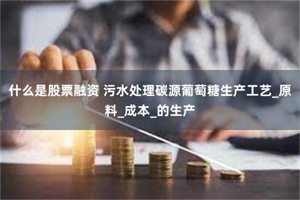 什么是股票融资 污水处理碳源葡萄糖生产工艺_原料_成本_的生产