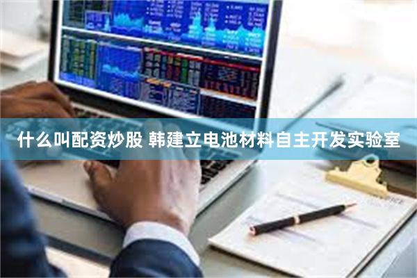 什么叫配资炒股 韩建立电池材料自主开发实验室