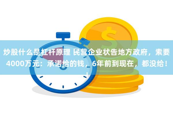 炒股什么是杠杆原理 民营企业状告地方政府，索要4000万元：承诺给的钱，6年前到现在，都没给！